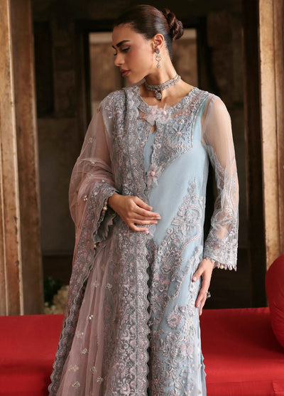 Parishay Embroidered Net Suits Unstitched 3 Piece PRS25JP D-06 JRA - 06