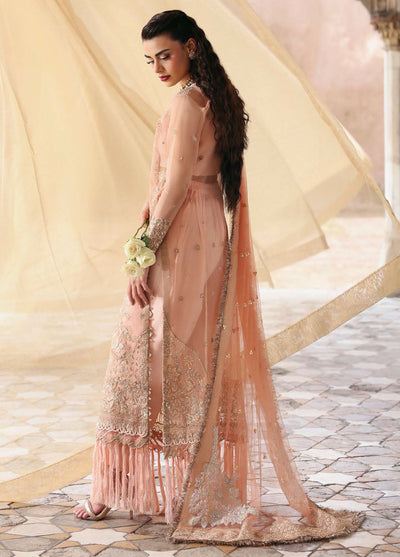 Parishay Embroidered Organza Suits Unstitched 3 Piece PRS25JP D-01 JRA - 01