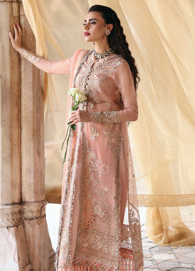 Parishay Embroidered Organza Suits Unstitched 3 Piece PRS25JP D-01 JRA - 01