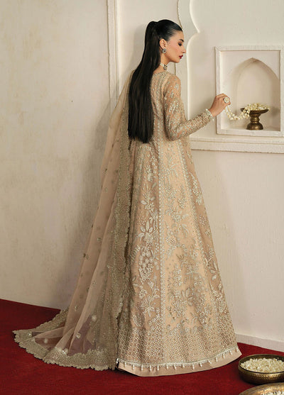 Pehli Nazar by Ayzel Embroidered Suits Unstitched 3 Piece AAFPZ25 D-06 Mehekti