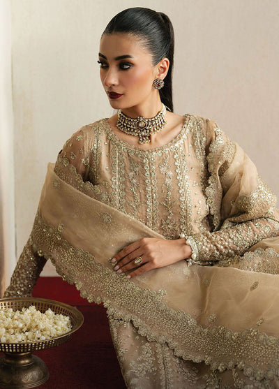 Pehli Nazar by Ayzel Embroidered Suits Unstitched 3 Piece AAFPZ25 D-06 Mehekti