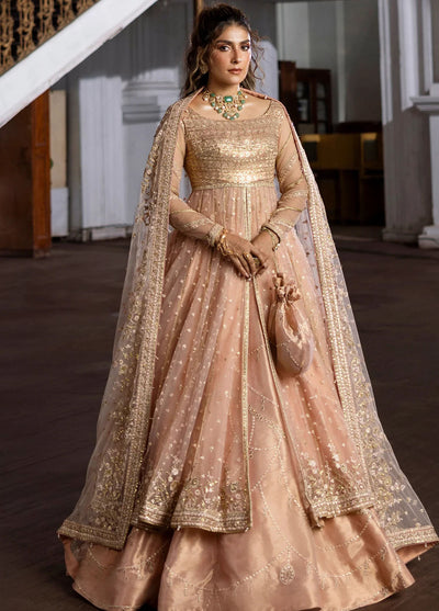 Jahan by Erum Khan Embroidered Tissue Suits Unstitched 4 Piece EK25V4 Pink Dust - Formals Collection