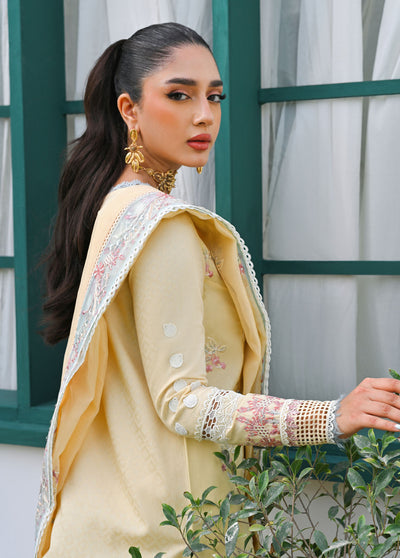 Qalamkar Pret Embroidered Jacquard 3 Piece Suit QLM23-CP2 ZP-02 Elara