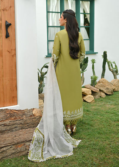 Qalamkar Pret Embroidered Lawn 3 Piece Suit QLM23-CP2 ZP-06 Dina