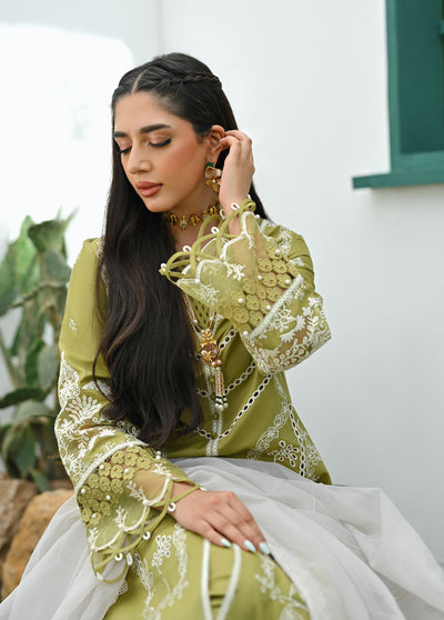 Qalamkar Pret Embroidered Lawn 3 Piece Suit QLM23-CP2 ZP-06 Dina