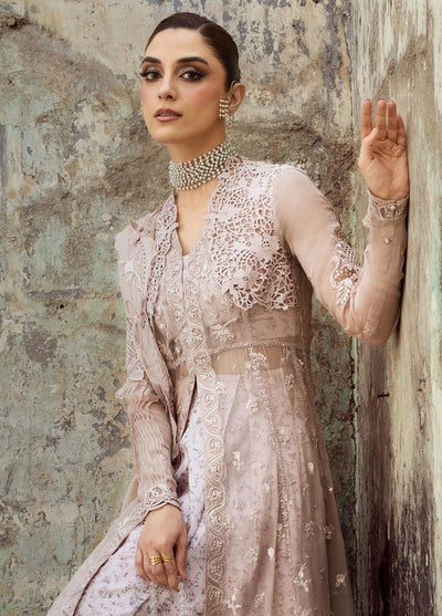 Qalamkar Embroidered Chiffon Suits Unstitched 3 Piece QLM25QC WC-01 Aisla