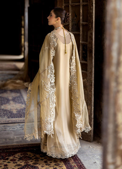Qalamkar Embroidered Chiffon Suits Unstitched 3 Piece QLM25QC WC-07 Heela
