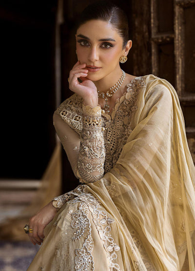 Qalamkar Embroidered Chiffon Suits Unstitched 3 Piece QLM25QC WC-07 Heela