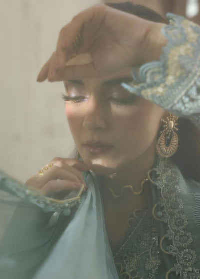 Qalamkar Embroidered Chiffon Suits Unstitched 3 Piece QLM25QC WC-08 Vevin