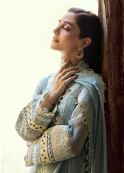 Qalamkar Embroidered Chiffon Suits Unstitched 3 Piece QLM25QC WC-08 Vevin