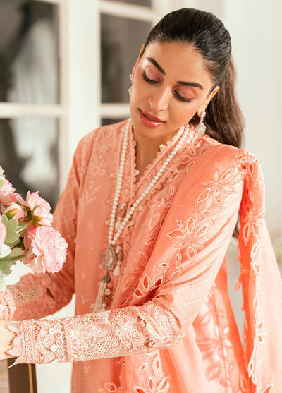 Qalamkar Embroidered Lawn Suits Unstitched 3 Piece QLM25LL SB-12 Jafa