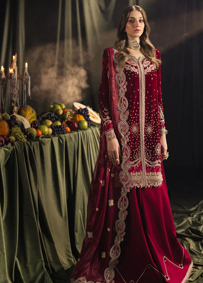 Qalamkar Unstitched Luxury Velvet Edit 2024 BK-02 Amara