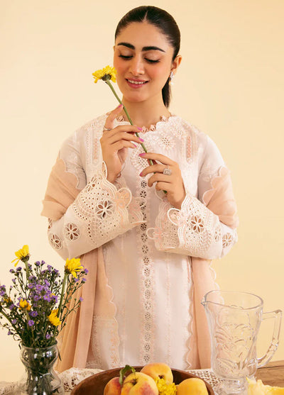 Qlinekari By Qalamkar Unstitched Lawn Collection 2024 SQ-07 Carmin