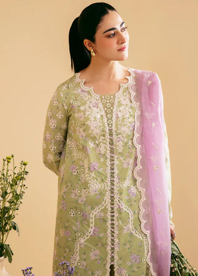 Qlinekari By Qalamkar Unstitched Lawn Collection 2024 SQ-10 Vehja