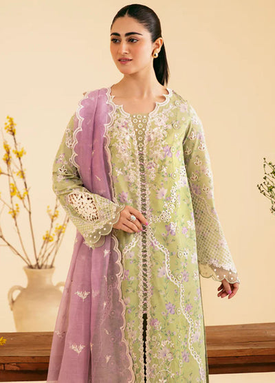 Qlinekari By Qalamkar Unstitched Lawn Collection 2024 SQ-10 Vehja