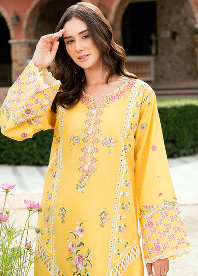 Roheenaz Embroidered Lawn Suits Unstitched 3 Piece D-03 B Lunara
