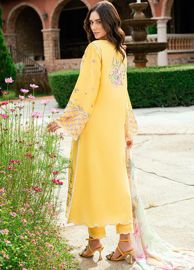 Roheenaz Embroidered Lawn Suits Unstitched 3 Piece D-03 B Lunara