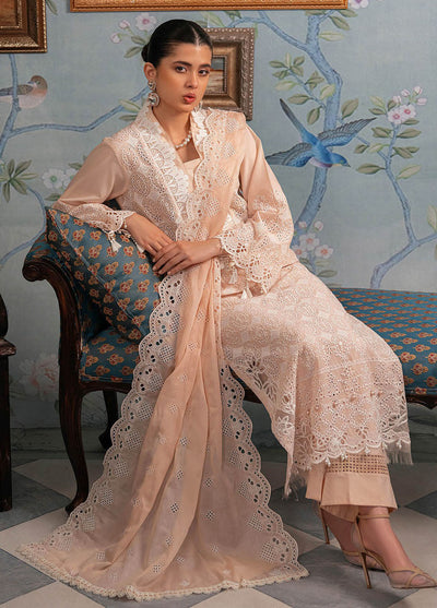 Rajbari Premium Chikankari Unstitched Edition 2024 D-03