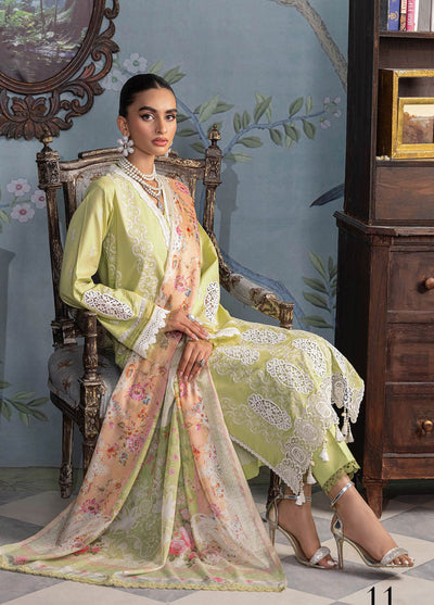 Rajbari Premium Chikankari Unstitched Edition 2024 D-11