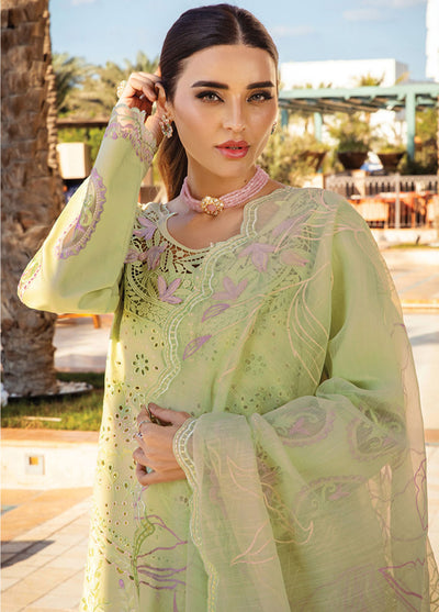 Rang Rasiya Embroidered Lawn Suits Unstitched 3 Piece RR25PS D-03 Elaheh