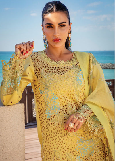 Rang Rasiya Embroidered Lawn Suits Unstitched 3 Piece RR25PS D-05 Minaal