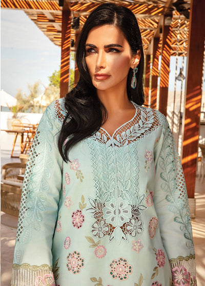 Rang Rasiya Embroidered Lawn Suits Unstitched 3 Piece RR25PS D-09 Mahsa