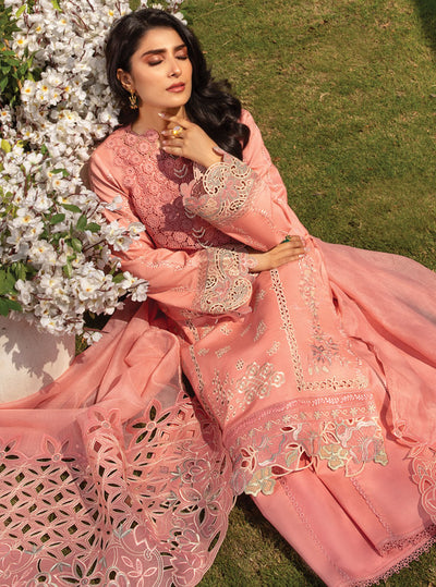 Rang Rasiya Premium Eid Collection 2024 D-07 Parisa