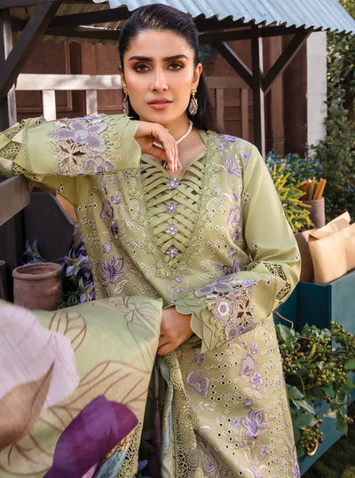 Rang Rasiya Premium Eid Collection 2024 D-08 Aysel