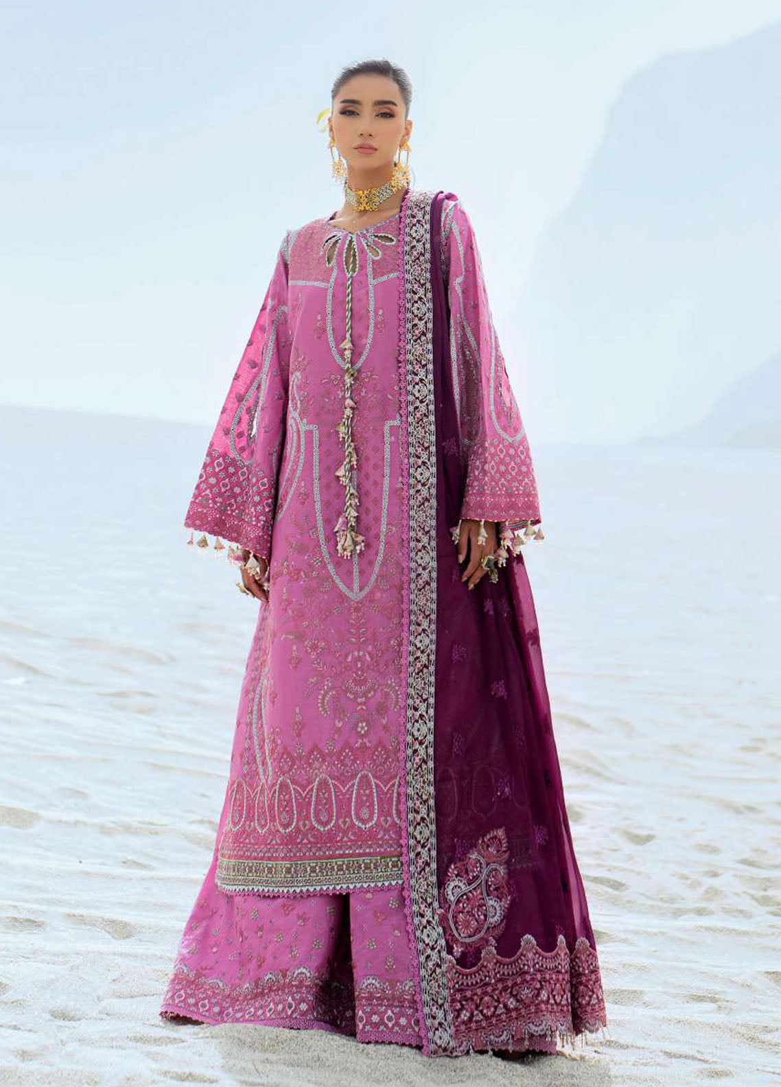 Raqs by Aik Atelier Embroidered Lawn Suits Unstitched 3 Piece AIK25RQ D-01