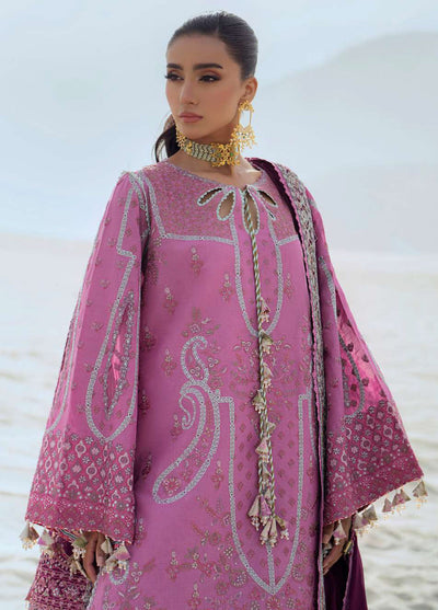 Raqs by Aik Atelier Embroidered Lawn Suits Unstitched 3 Piece AIK25RQ D-01
