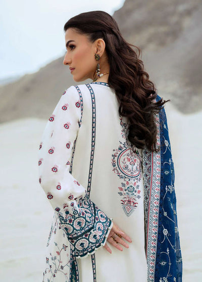 Raqs by Aik Atelier Embroidered Lawn Suits Unstitched 3 Piece AIK25RQ D-02