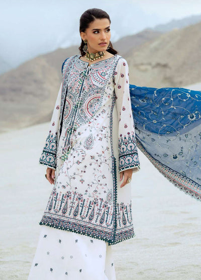 Raqs by Aik Atelier Embroidered Lawn Suits Unstitched 3 Piece AIK25RQ D-02