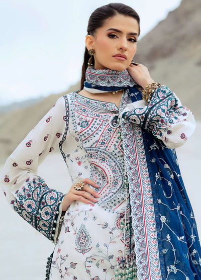 Raqs by Aik Atelier Embroidered Lawn Suits Unstitched 3 Piece AIK25RQ D-02