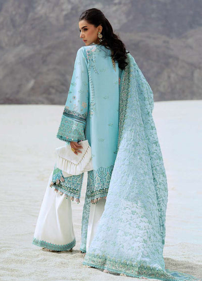 Raqs by Aik Atelier Embroidered Lawn Suits Unstitched 3 Piece AIK25RQ D-03