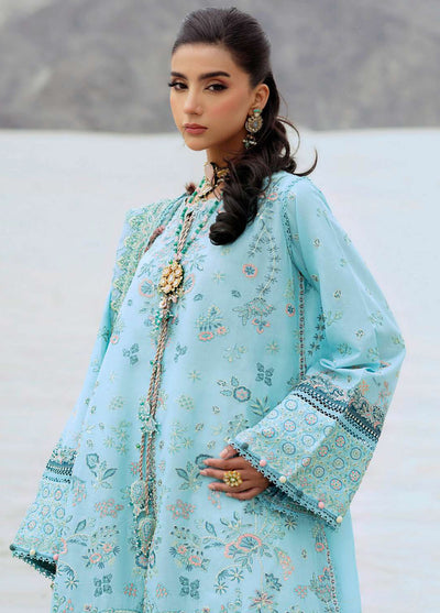 Raqs by Aik Atelier Embroidered Lawn Suits Unstitched 3 Piece AIK25RQ D-03