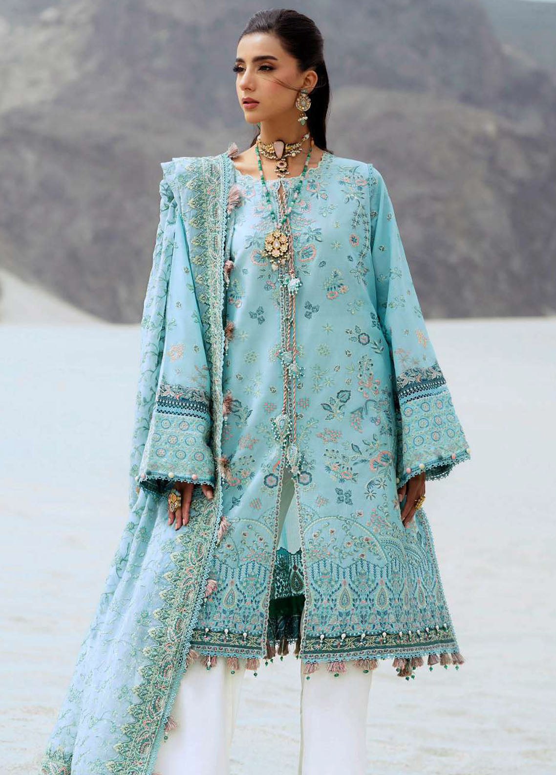 Raqs by Aik Atelier Embroidered Lawn Suits Unstitched 3 Piece AIK25RQ D-03