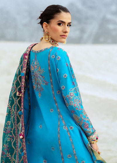 Raqs by Aik Atelier Embroidered Lawn Suits Unstitched 3 Piece AIK25RQ D-05