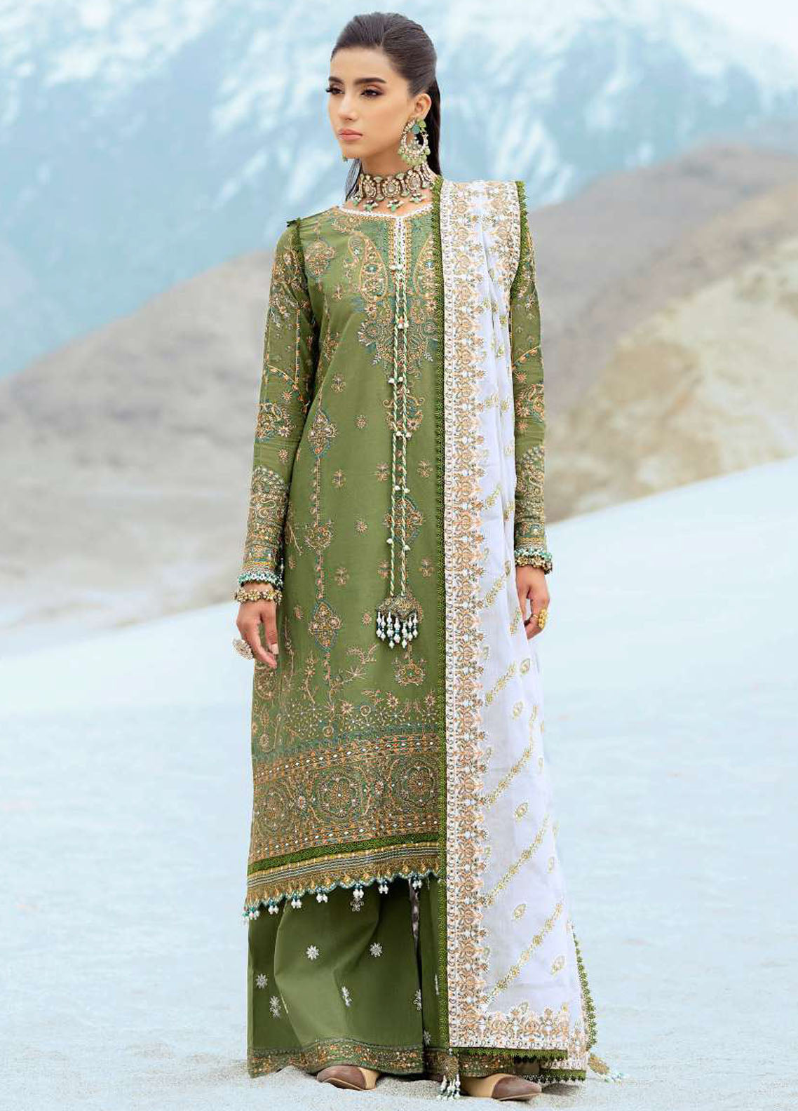 Raqs by Aik Atelier Embroidered Lawn Suits Unstitched 3 Piece AIK25RQ D-06