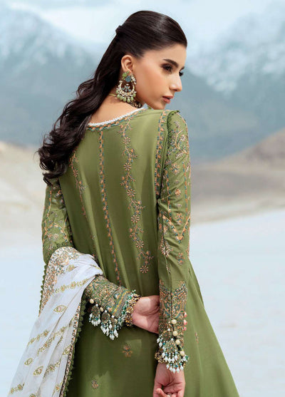 Raqs by Aik Atelier Embroidered Lawn Suits Unstitched 3 Piece AIK25RQ D-06