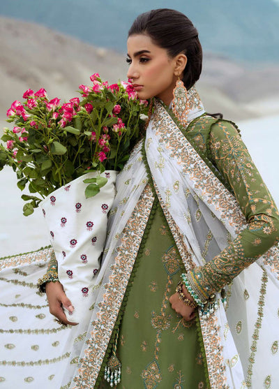 Raqs by Aik Atelier Embroidered Lawn Suits Unstitched 3 Piece AIK25RQ D-06