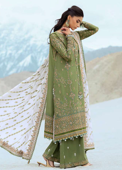 Raqs by Aik Atelier Embroidered Lawn Suits Unstitched 3 Piece AIK25RQ D-06