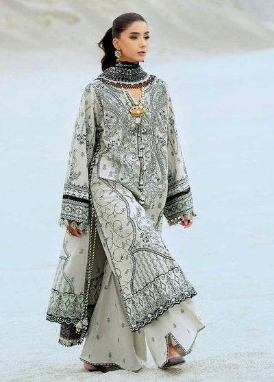 Raqs by Aik Atelier Embroidered Lawn Suits Unstitched 3 Piece AIK25RQ D-08