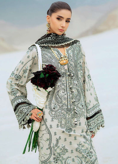 Raqs by Aik Atelier Embroidered Lawn Suits Unstitched 3 Piece AIK25RQ D-08