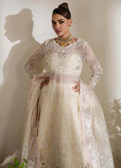 Reem By Zoya And Fatima Unstitched Festive Collection 2024 Raina