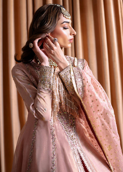 Rema by Faiza Faisal Unstitched Formals Collection 2024 D-03 Inaya