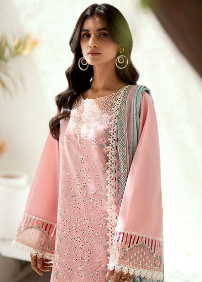 Riwaayat By Bin Ilyas Unstitched Spring Summer Collection 2024 301 B