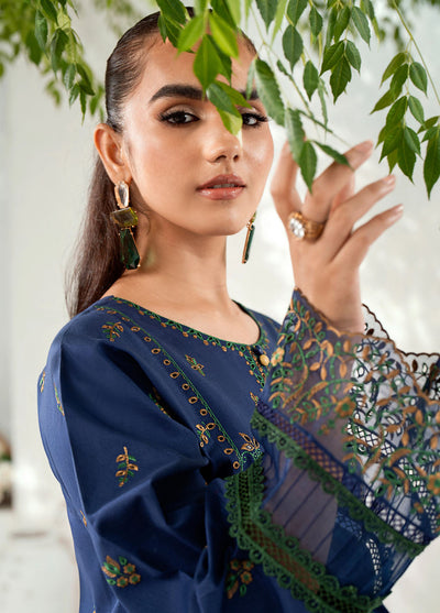 Riwaayat By Bin Ilyas Unstitched Spring Summer Collection 2024 302 A