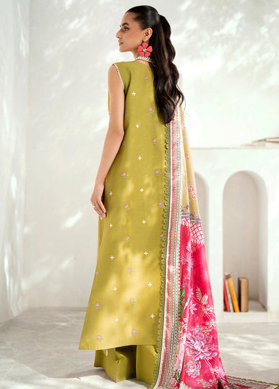 Riwaayat By Bin Ilyas Unstitched Spring Summer Collection 2024 304 B