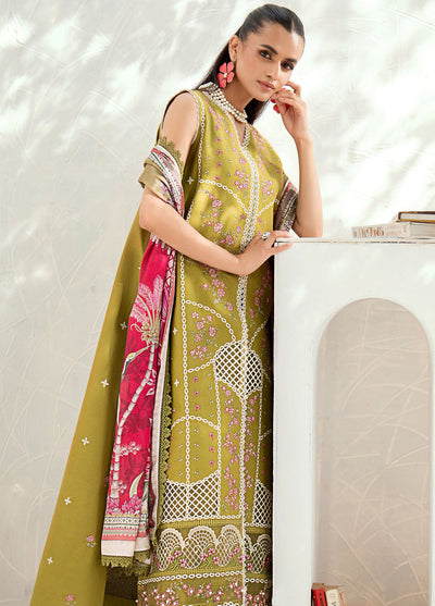 Riwaayat By Bin Ilyas Unstitched Spring Summer Collection 2024 304 B