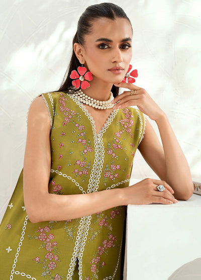 Riwaayat By Bin Ilyas Unstitched Spring Summer Collection 2024 304 B